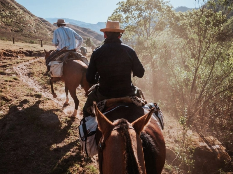 Jujuy 