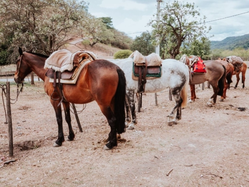 Santa Fe 