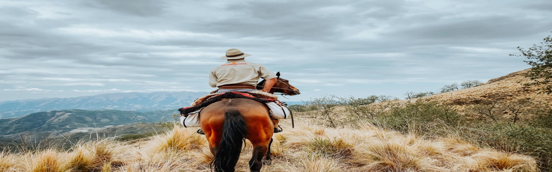 Beagle Horseback Riding 